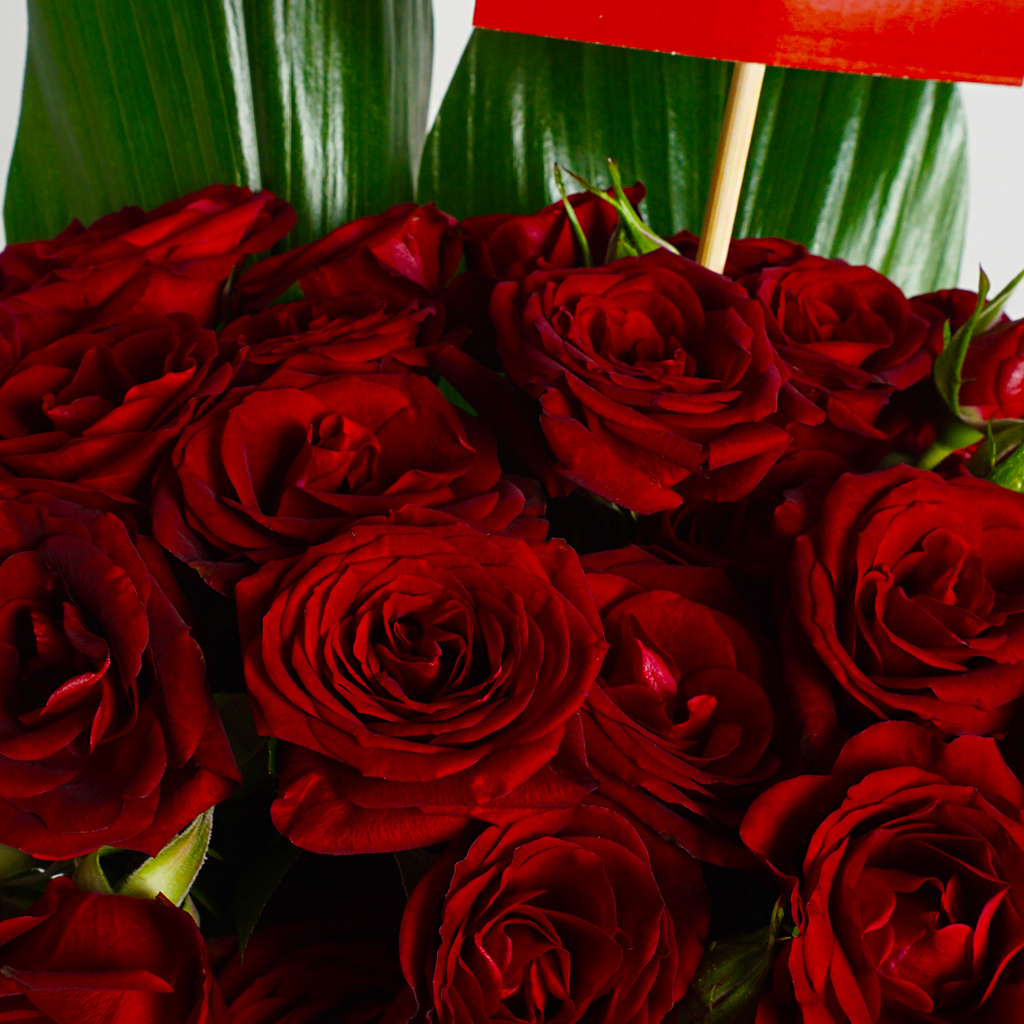 The Passion - Çiçek (Gül Buketi) Kırmızı
