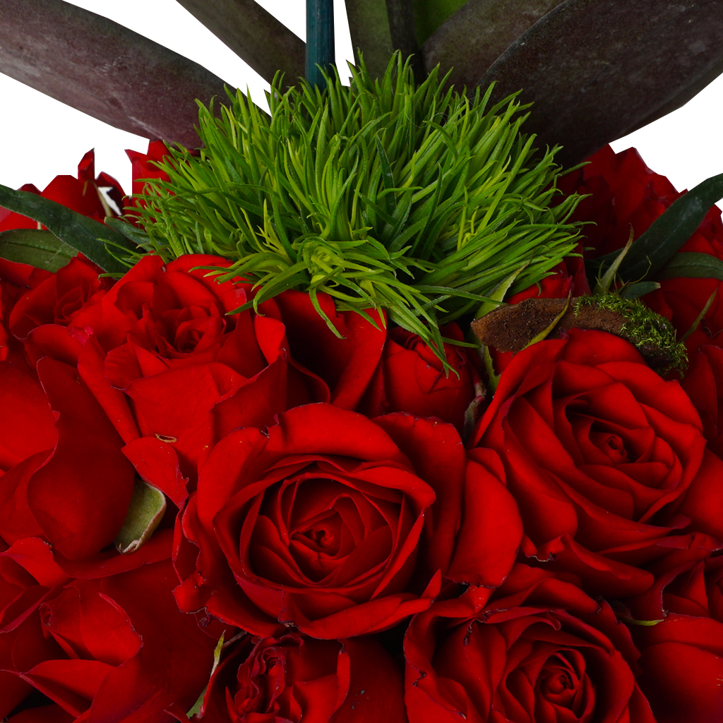 Charmin Love (Kırmızı Güller ve Orkide Aranjmanı)