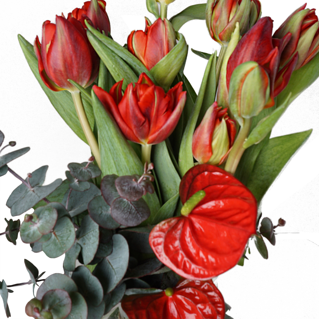 Red Tulips Design (Kırmızı Laleler ve Antoryum)