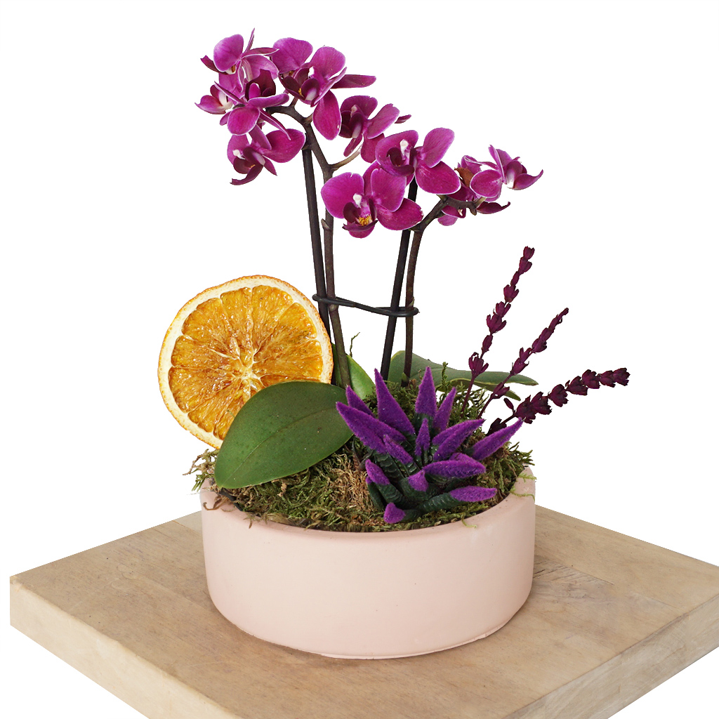 Orchid Love (Orkide Aranjmanı)