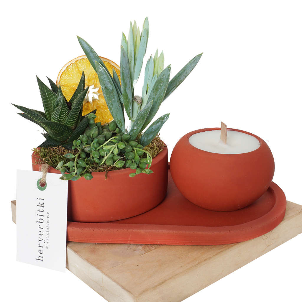 Candle & Plant Gift 2 (Mum ve Teraryum Aranjman Seti)