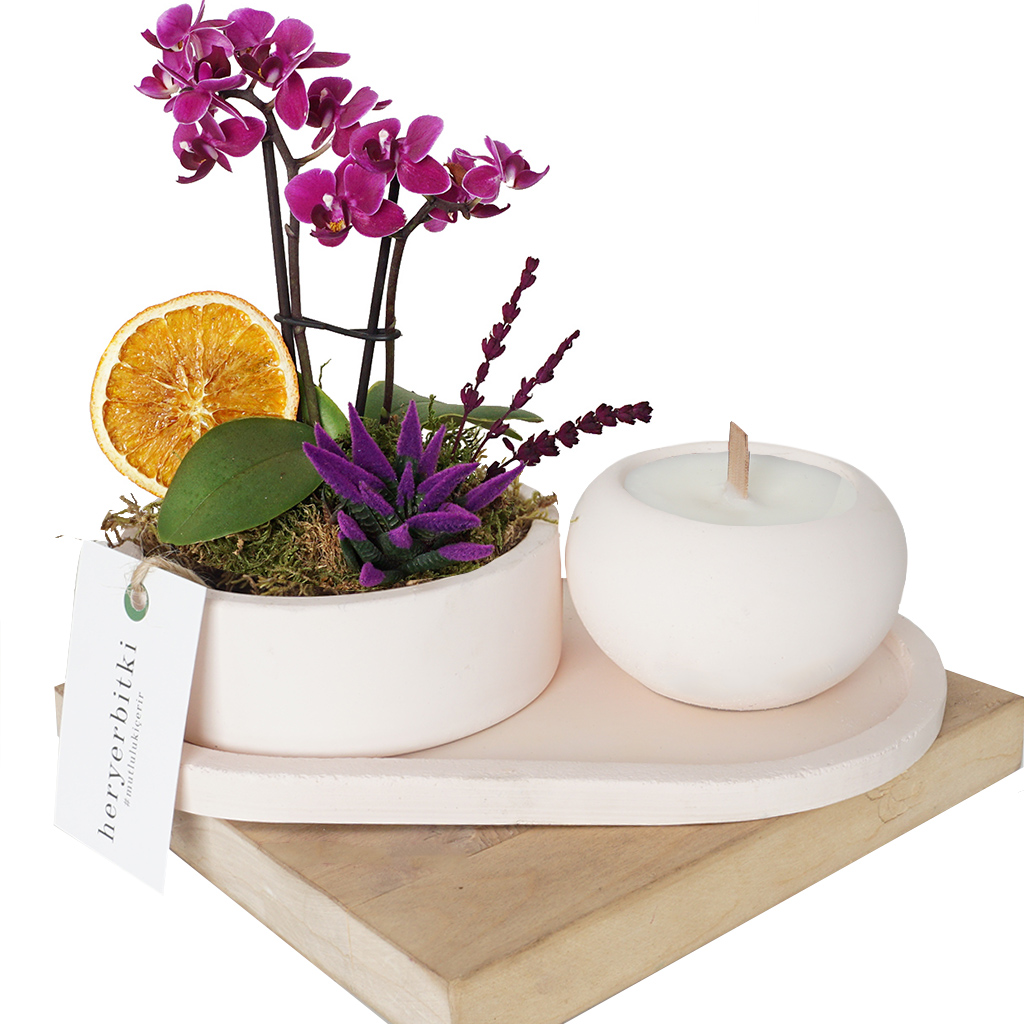 Candle & Plant Gift 3 (Mum ve Orkide Aranjman Seti)