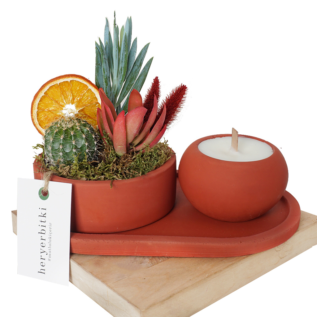 Candle & Plant Gift 4 (Mum ve Teraryum Aranjman Seti)