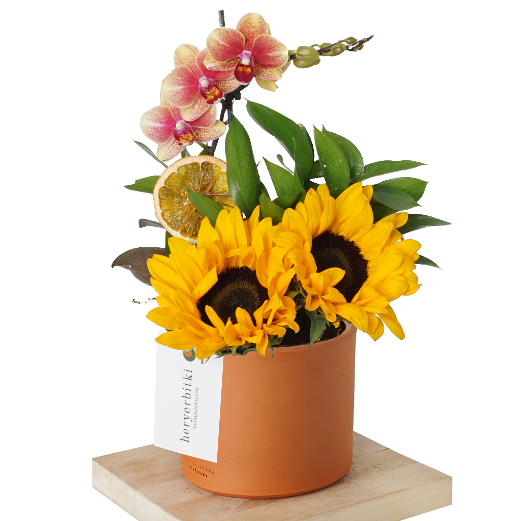 Sunflower & Orchid (Orkide ve Ayçiçeği Aranjmanı)
