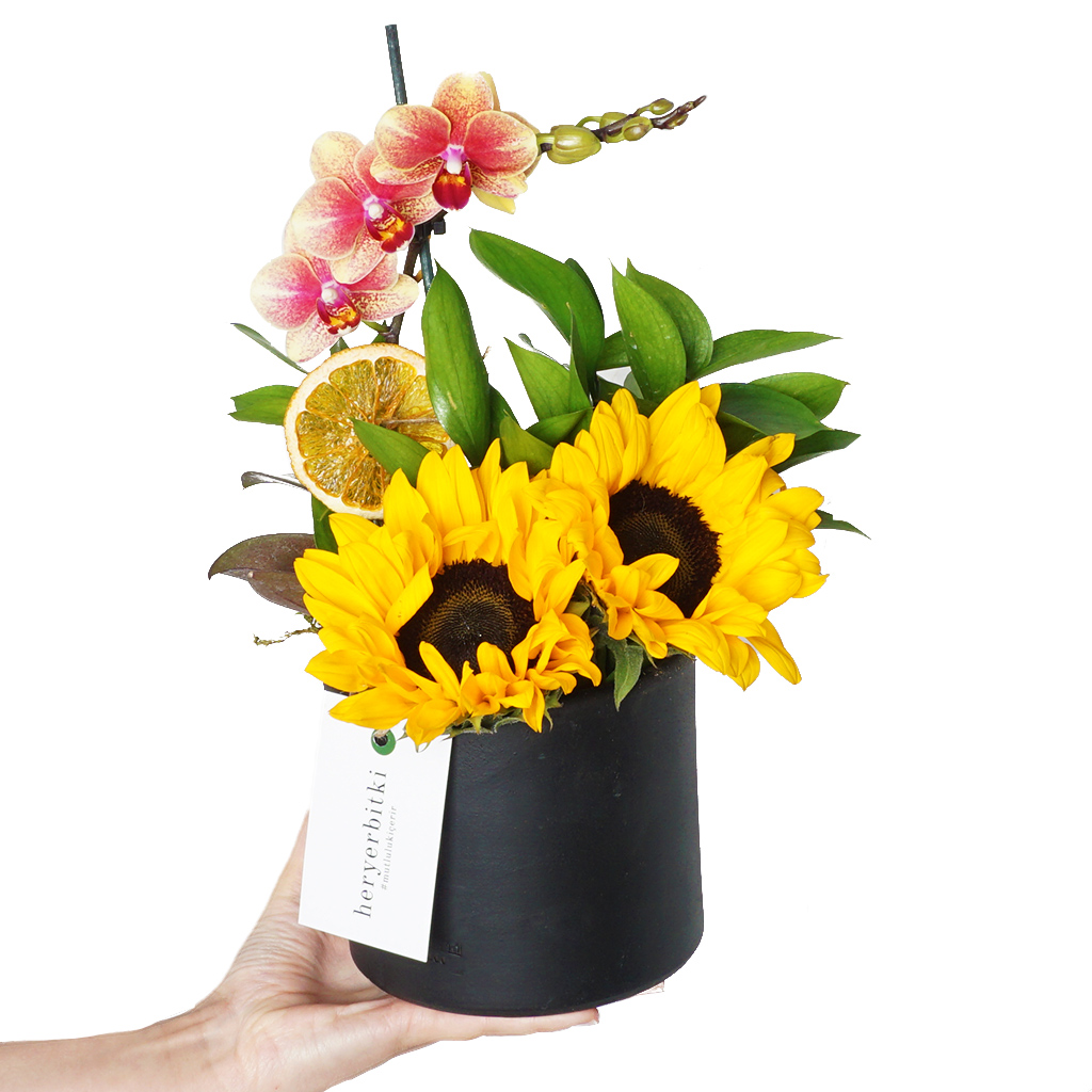 Sunflower & Orchid (Orkide ve Ayçiçeği Aranjmanı)
