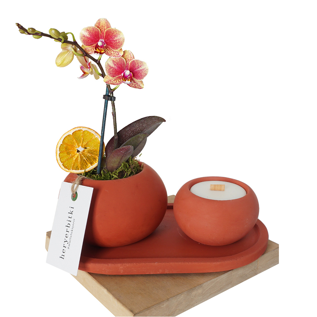 Candle & Plant Gift (Mum ve Coral Orkide Aranjman Seti)