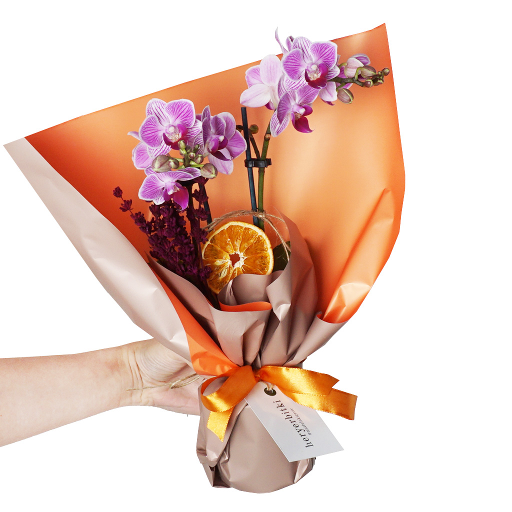 Special Orchid Gift (2 Dallı Orkide)