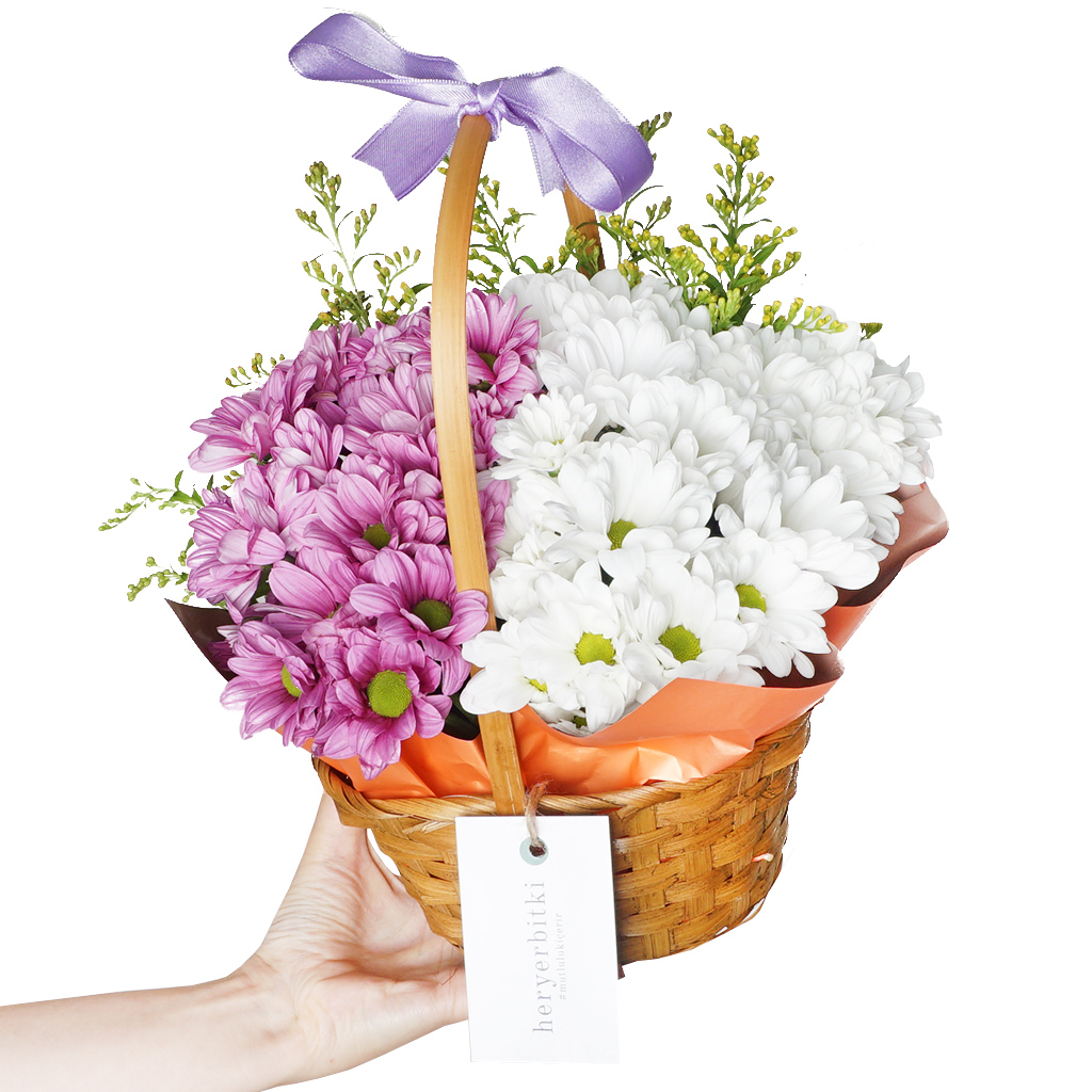 Papatya Sepeti (Pembe, Beyaz Papatya Çiçek Sepeti)