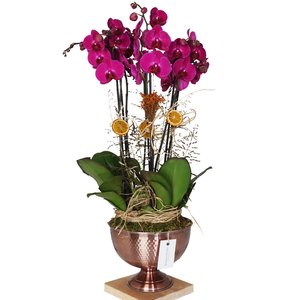 bakır saksıda 6 dallı mor orkide