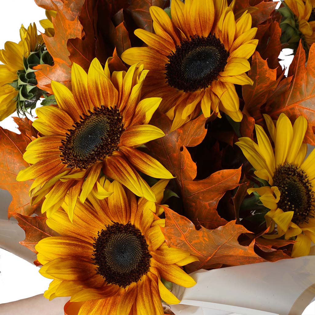 Grand Sunflower (Ayçiçeği Buketi)