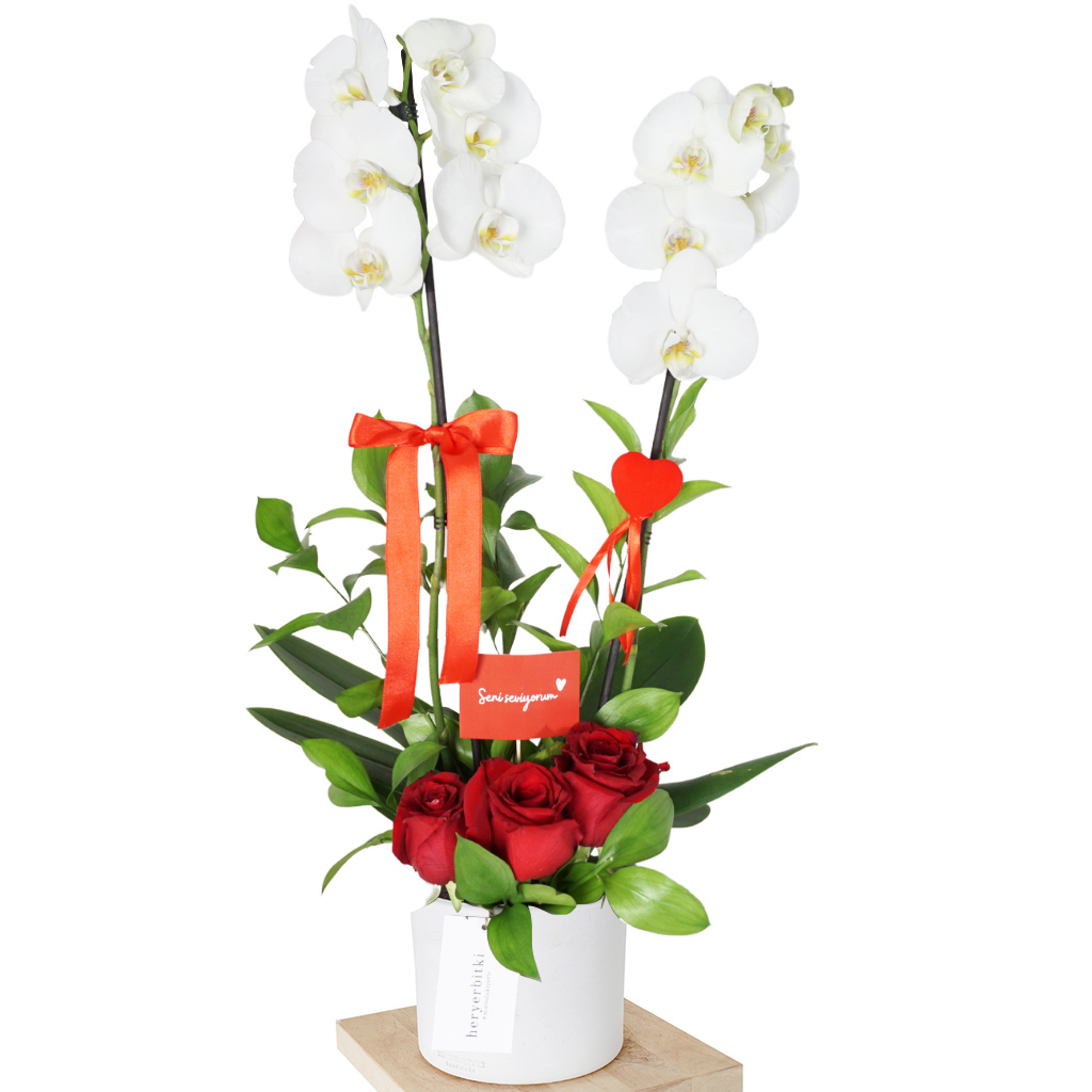 First Love Orchid (Beyaz İlk Aşk Orkide Aranjmanı)