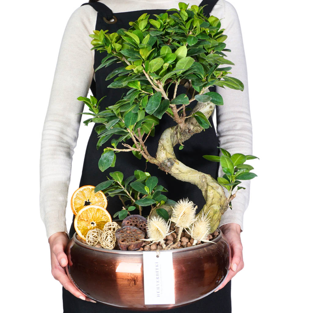 elde tutulan bakır saksıda bonsai aranjmanı