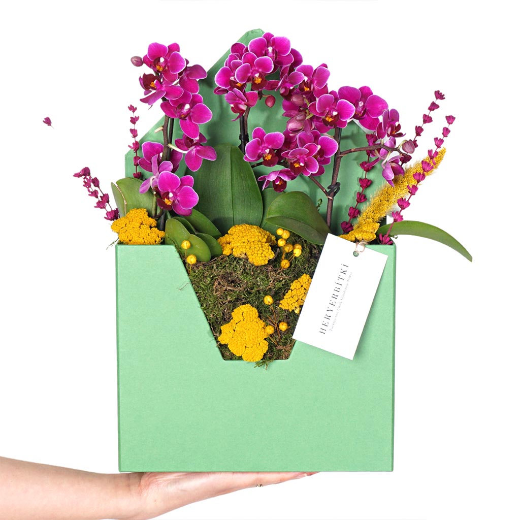 Send Love Letter (Tasarım Orkide Aranjmanı)