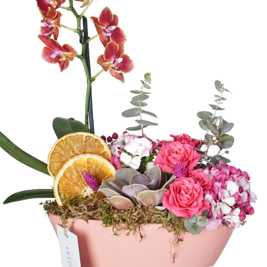 Perfection Pink Garden (Orkide ve Sukulent Aranjmanı)