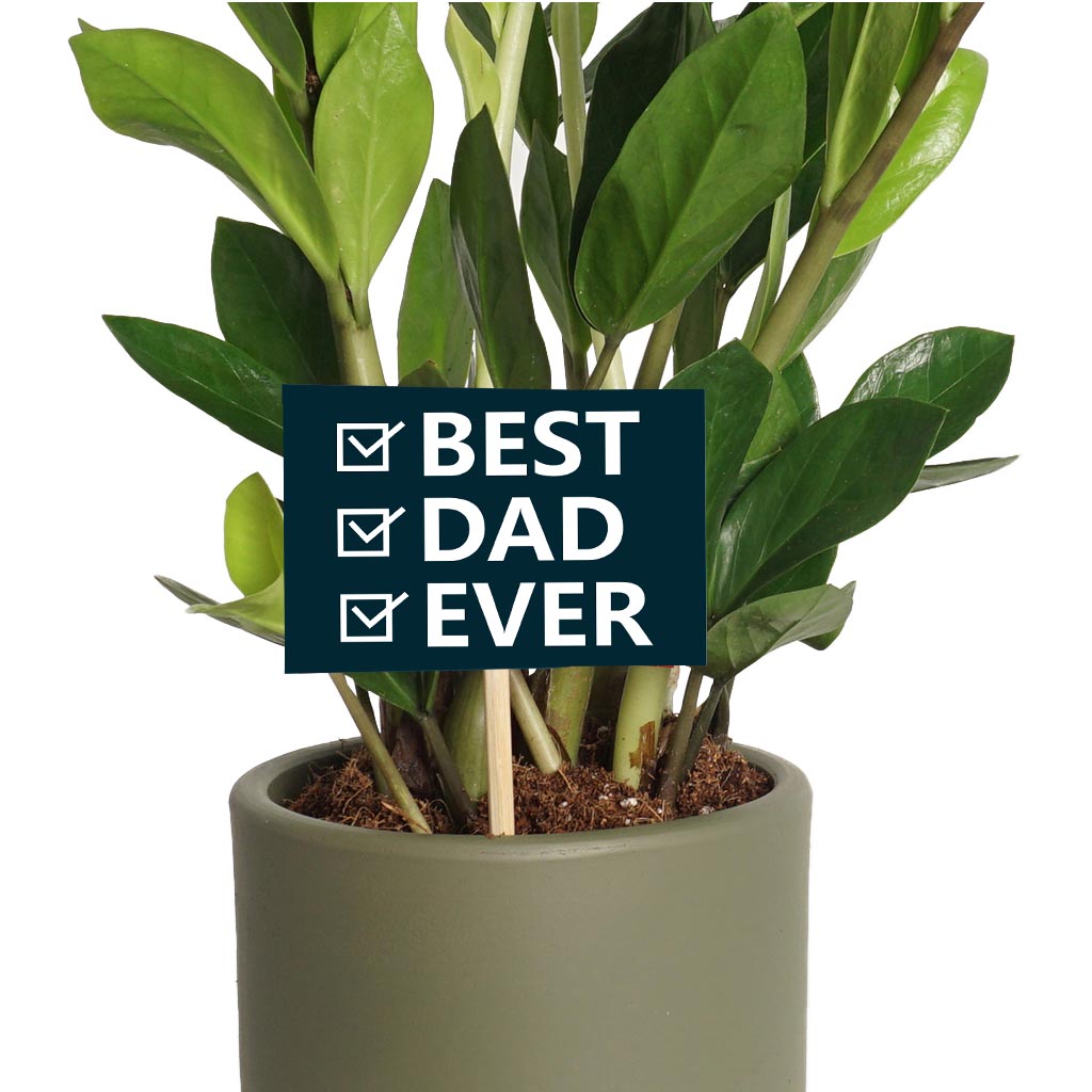 Best Dad (En İyi Baba Tebrik Kartı)