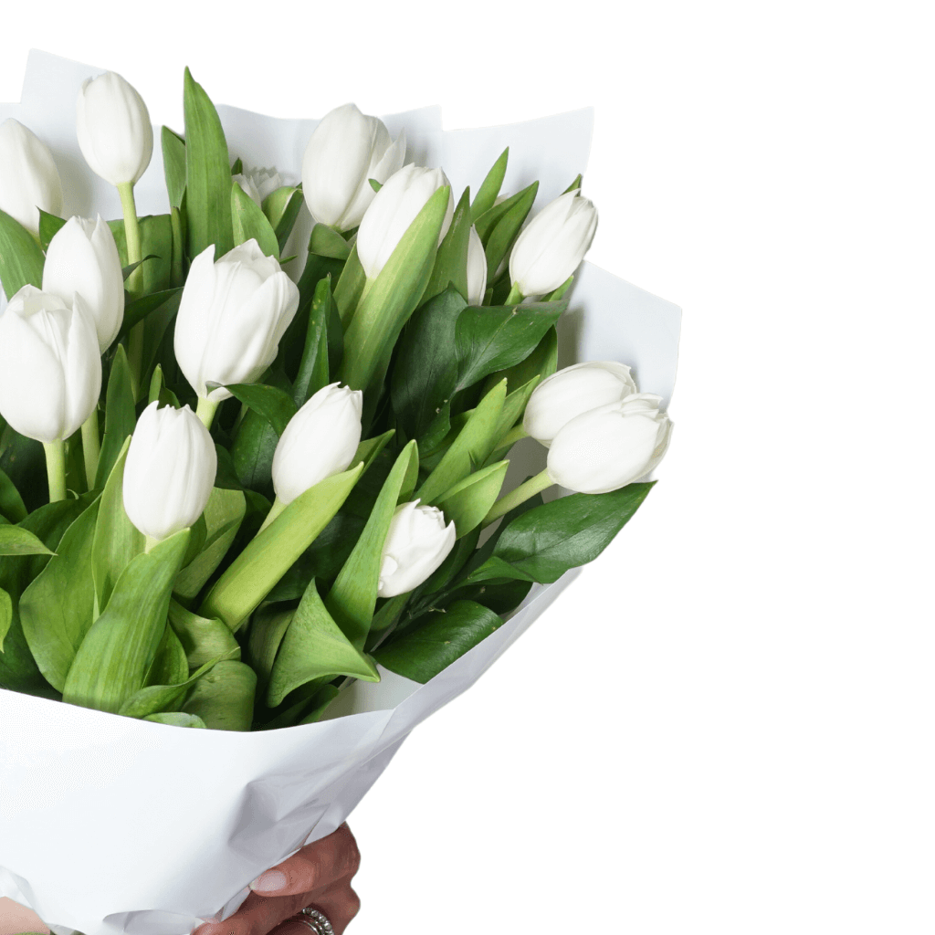 Dream Tulip Bouquet (Beyaz Lale Buketi)