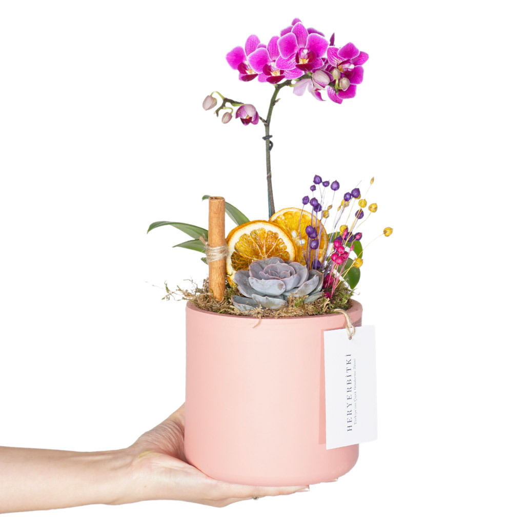 Purple Design Orchid Gift (Mor Orkide Aranjmanı)