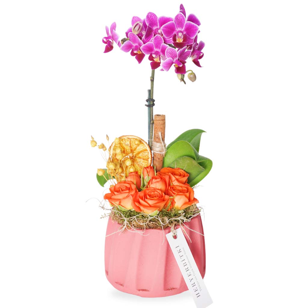 Blush Orchid Roses (Mor Orkide ve Güller Aranjmanı)
